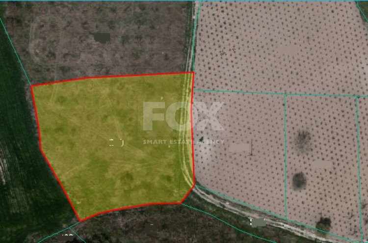 Land For Sale In Polemi Paphos Cyprus