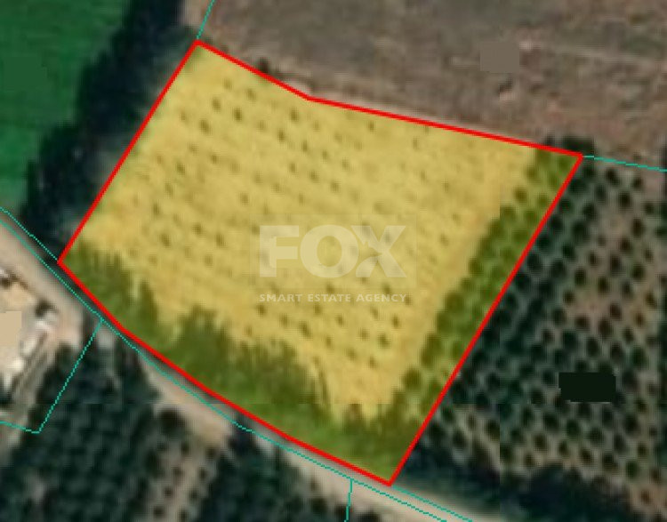 Residential land for sale in Mandria village, Paphos