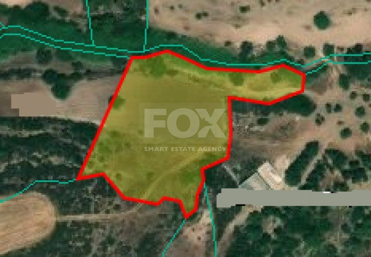 Land For Sale In Neo Chorio Pafou Paphos Cyprus