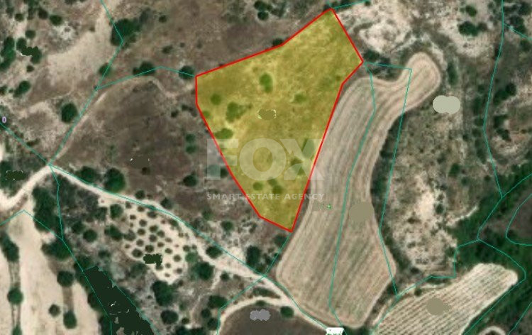 Land For Sale In Lemona Paphos Cyprus