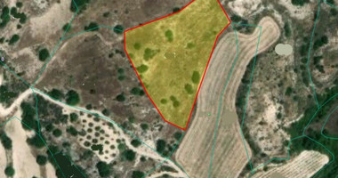 Land For Sale In Lemona Paphos Cyprus