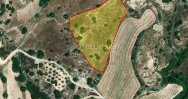 Land For Sale In Lemona Paphos Cyprus