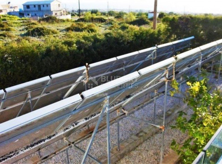 6 Bed House For Sale In Tala Paphos Cyprus