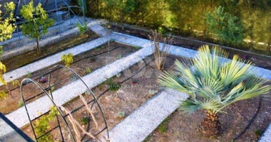 6 Bed House For Sale In Tala Paphos Cyprus