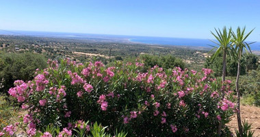 3 Bed House For Sale In Pano Kivides Limassol Cyprus