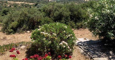 3 Bed House For Sale In Pano Kivides Limassol Cyprus