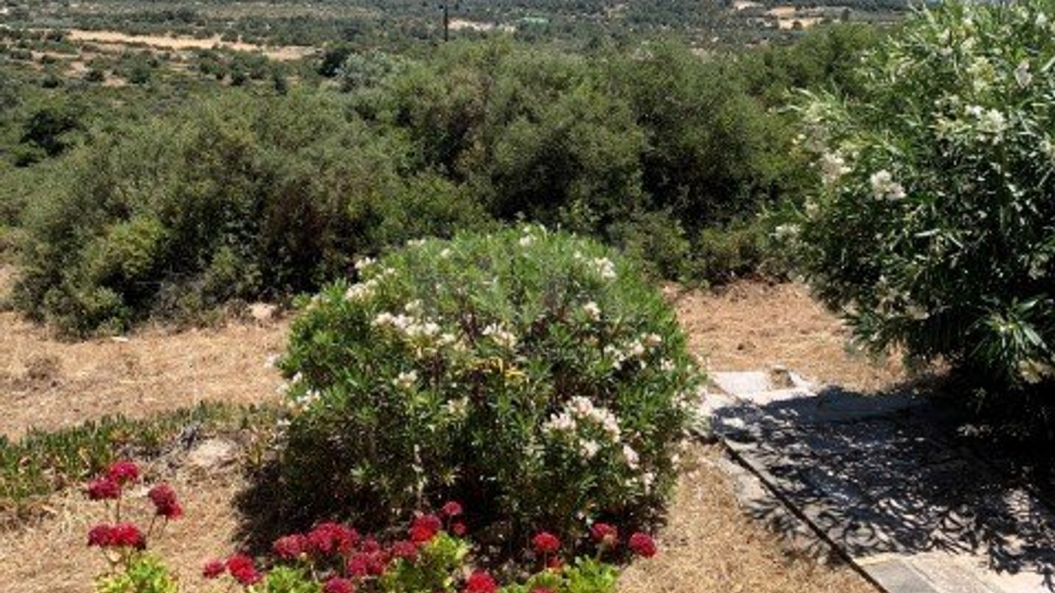 3 Bed House For Sale In Pano Kivides Limassol Cyprus