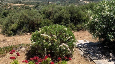 3 Bed House For Sale In Pano Kivides Limassol Cyprus