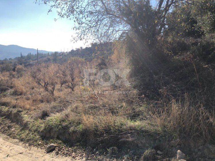 Land For Sale In Silikou Limassol