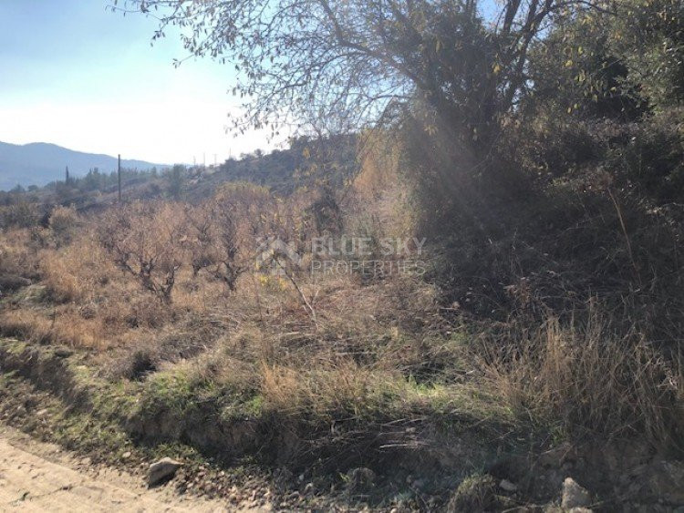 Land For Sale In Silikou Limassol Cyprus