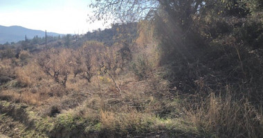 Land For Sale In Silikou Limassol