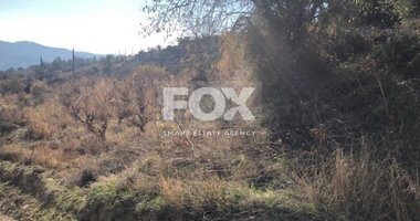 Land For Sale In Silikou Limassol Cyprus