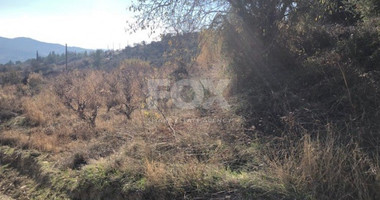 Land For Sale In Silikou Limassol Cyprus