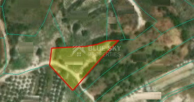 Land For Sale In Silikou Limassol Cyprus