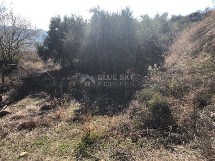 Land For Sale In Silikou Limassol Cyprus