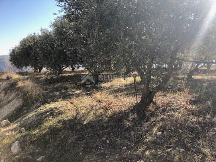 Land For Sale In Silikou Limassol Cyprus