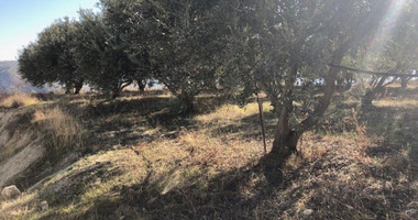 Land For Sale In Silikou Limassol Cyprus