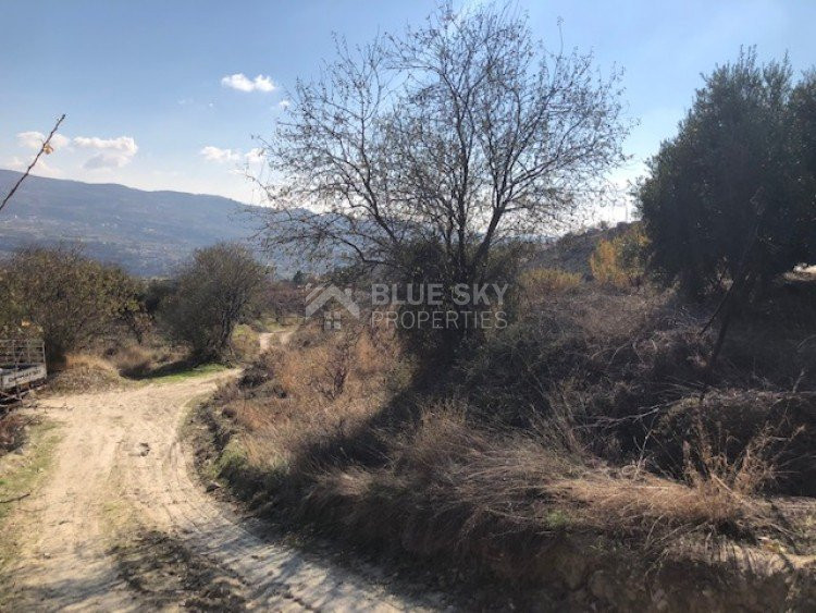 Land For Sale In Silikou Limassol Cyprus