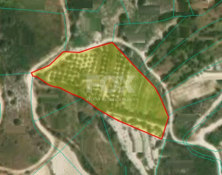 Land For Sale In Silikou Limassol Cyprus