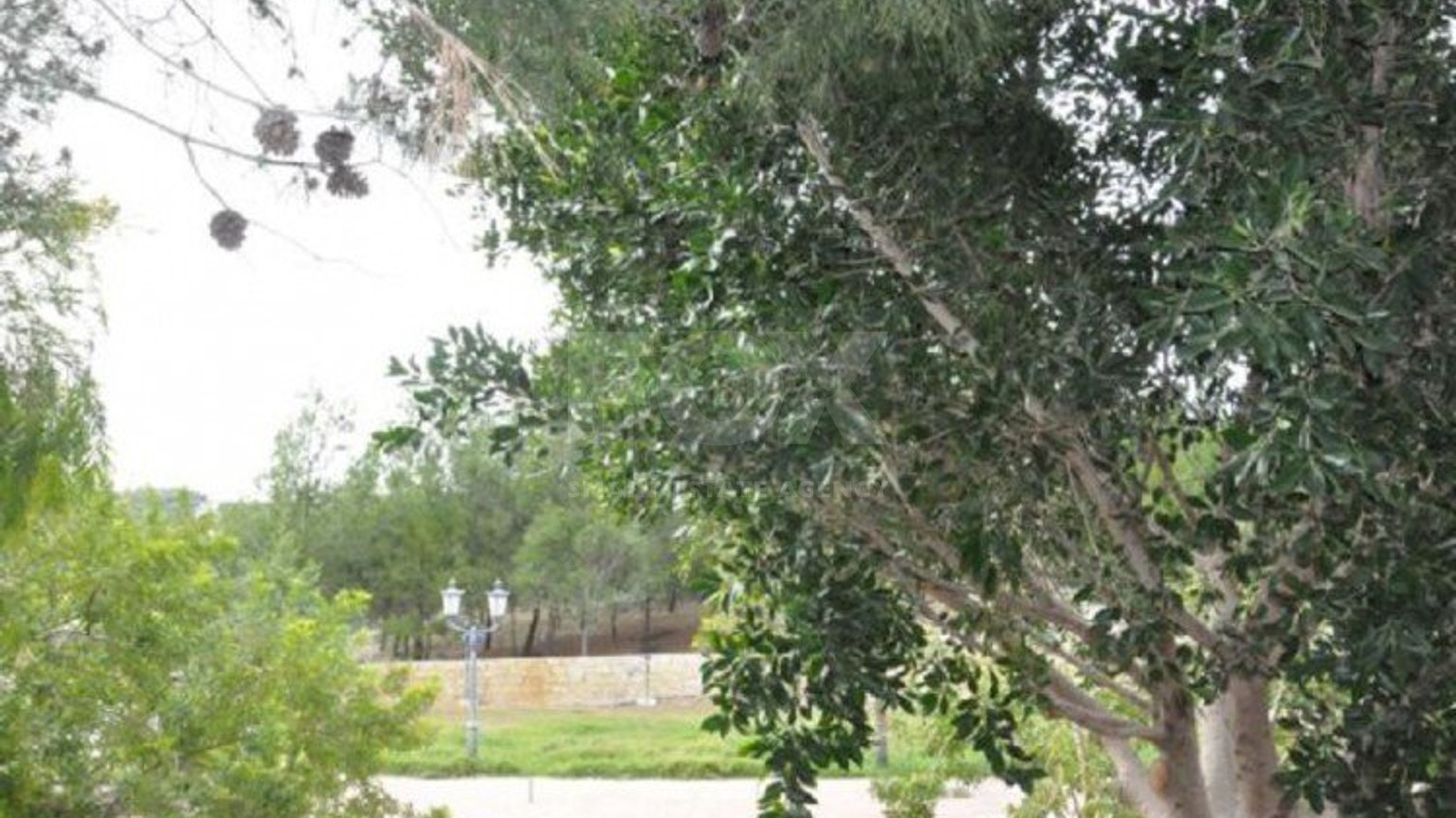 4 Bed House For Sale In Pissouri Limassol Cyprus