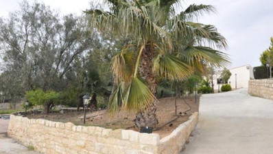 4 Bed House For Sale In Pissouri Limassol Cyprus
