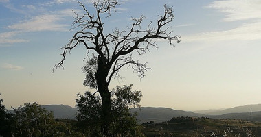 Land For Sale In Vouni Limassol Cyprus