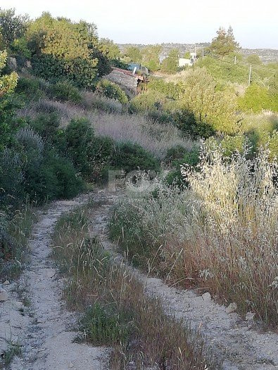 Land For Sale In Vouni Limassol Cyprus