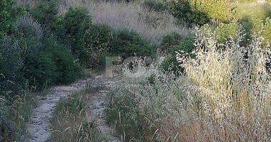 Land For Sale In Vouni Limassol Cyprus