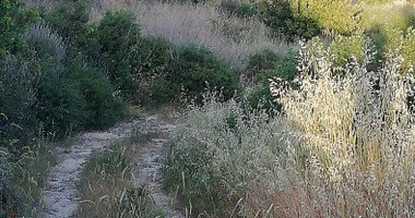 Land For Sale In Vouni Limassol Cyprus