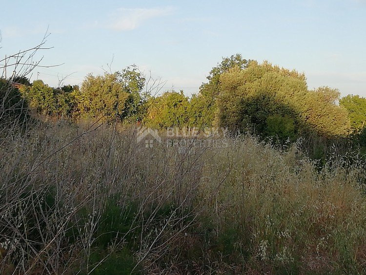 Land For Sale In Vouni Limassol Cyprus