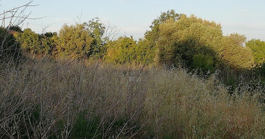 Land For Sale In Vouni Limassol Cyprus