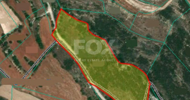 Land For Sale In Tsada Paphos Cyprus