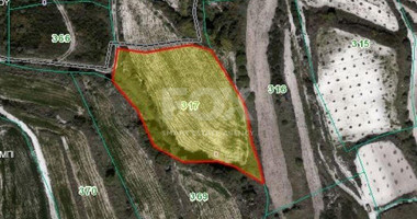 Land For Sale In Stroumpi Paphos Cyprus