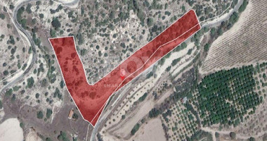 Land For Sale In Amargeti Paphos Cyprus