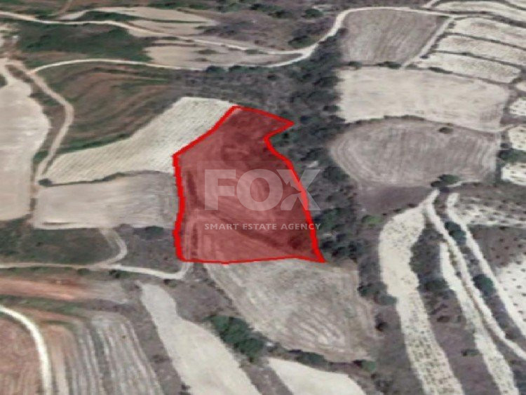 Land For Sale In Drymou Paphos Cyprus