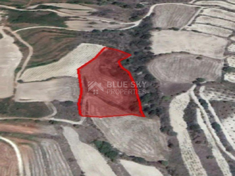 Land For Sale In Drymou Paphos Cyprus