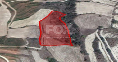 Land For Sale In Drymou Paphos Cyprus