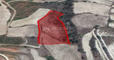 Land For Sale In Drymou Paphos Cyprus