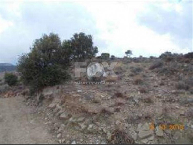 Land For Sale In Pentalia Paphos Cyprus