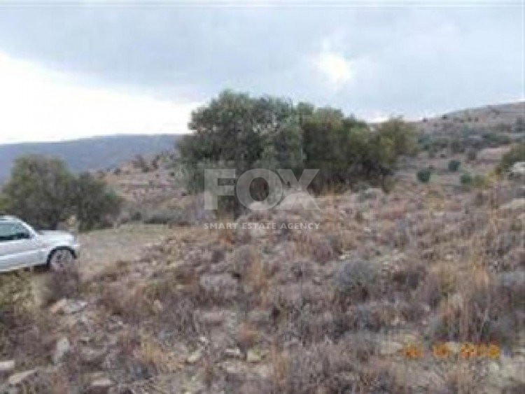 Land For Sale In Pentalia Paphos Cyprus