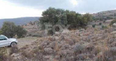 Land For Sale In Pentalia Paphos Cyprus