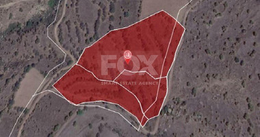 Land For Sale In Pentalia Paphos Cyprus