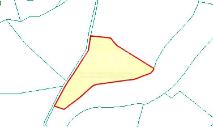 Land For Sale In Goudi Paphos Cyprus