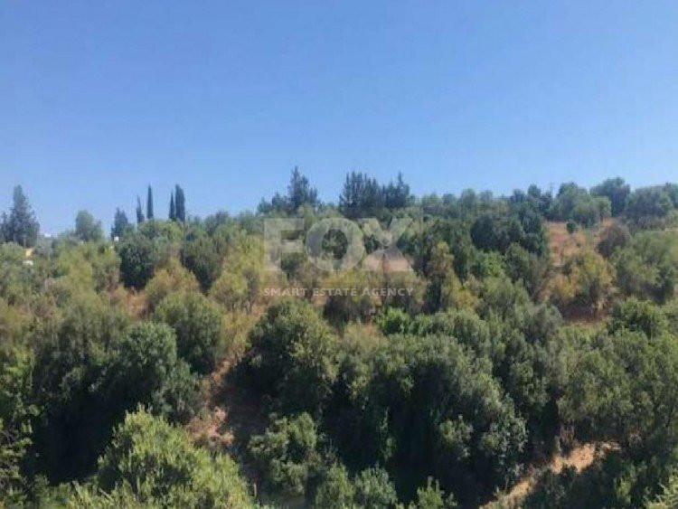 Plot For Sale In Choulou Paphos Cyprus