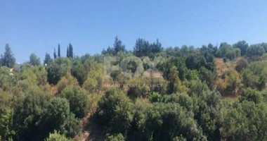 Plot For Sale In Choulou Paphos Cyprus