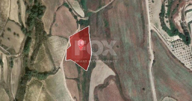 Land For Sale In Stroumpi Paphos Cyprus