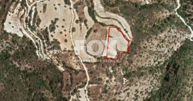 Land For Sale In Amargeti Paphos Cyprus