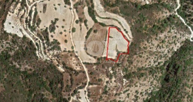 Land For Sale In Amargeti Paphos Cyprus