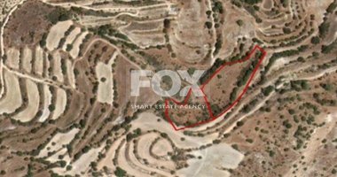Land For Sale In Amargeti Paphos Cyprus