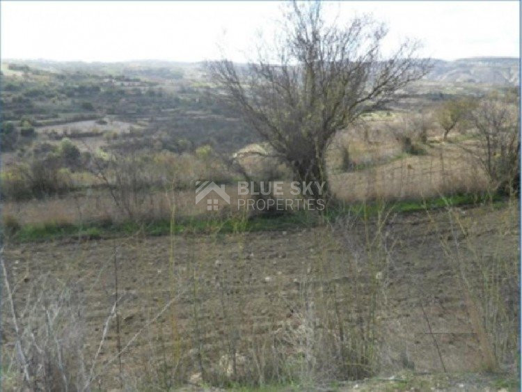 Land For Sale In Drymou Paphos Cyprus